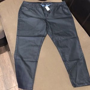 Lane Collection Shiny Jeans (NWT) (24)